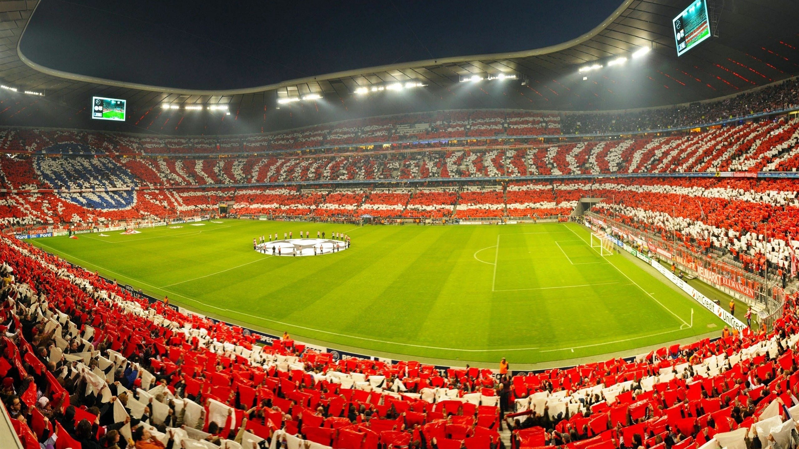 戴维·帕特森：袋鼠队攻防两端的稳定力量，ufc袋鼠